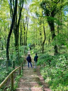 LA FEUILLÉE, Charmante Maison au Bois de Cise - 2