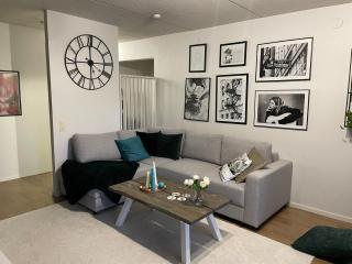 Arctic Ahkio Apartment - 0