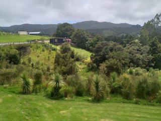 Twin Totara Cottage - Mangawhai - 5