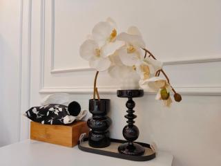 Shanghai Dreams - Cozy Sunroom on Yongkang Road - Entire Apartment - Shanghai - 6