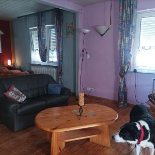 Speyer Vintage Stil Ferienwohnung Hundefreundlich - Römerberg - 9