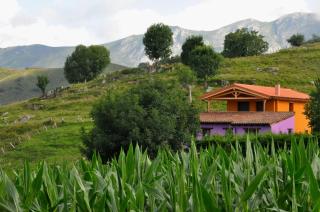 PicuAstur - Cangas de Onís - 5