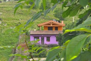 PicuAstur - Cangas de Onís - 6