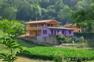 PicuAstur - Cangas de Onís - 7