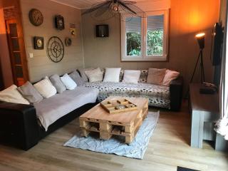 Villa 1950 Détente et Découverte avec spa et piscine extérieure - Anould - 5