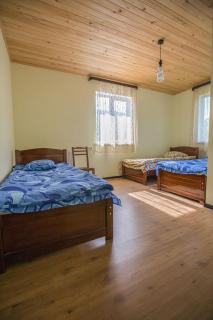 Hotel Nini - Kazbegi - 2