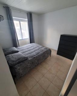 Appartement calme - Vizille - 4