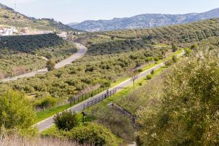 FLEMING 10: Tranquilo y céntrico. Disfruta de la vía verde - 9