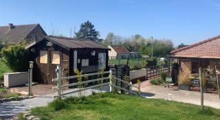 Charmant logement tout confort avec terrasse - Saint-Amand-les-Eaux - 7