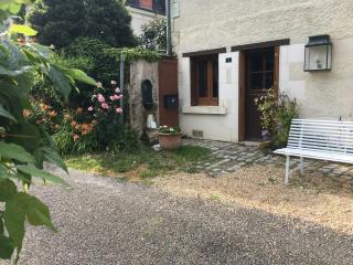 Maison de campagne rénovée avec jardin, à proximité de Valençay et du Zoo de Beauval - FR-1-591-287 - Veuil - 5