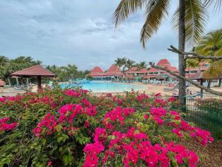 studio Le Palma, vue mer - 7