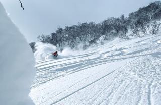 Tobari 帷 Niseko Hanazono - 2