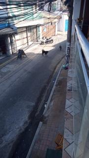 Casas em arraial - 4