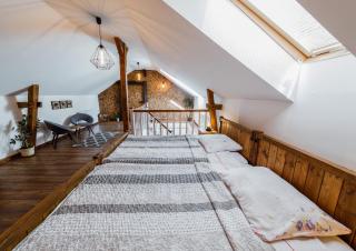 Apartament w środku lasu - Sławoborze - 7