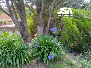 Vaby s 1 - Jindabyne - 1