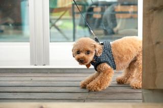 最高の日の出をTakahagi Base - 5