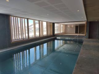Coup de coeur ski aux pieds avec piscine, spa, et fitness - L'Alpe-d'Huez - 8