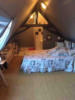 Jolie maison type Flamande avec 2 chambres - Saint-Amand-les-Eaux - 8
