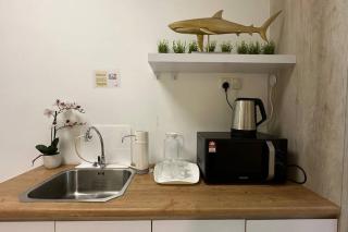 Seaview Seafront Duplex in Town with WiFi & Full Kitchen 66 - 8