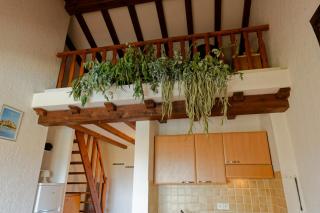 COCON AUX SENTEURS de CORSE et VUE EXCEPTIONNELLE - 1