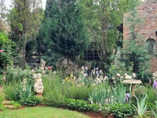 Peaceful Willows - - 4