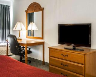 Quality Inn Rochester South - Rochester - 5