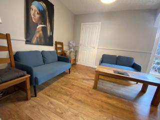 Connswater Town House Belfast - Belfast - 6