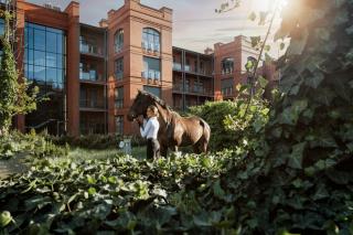 City Park Hotel & Residence - 9