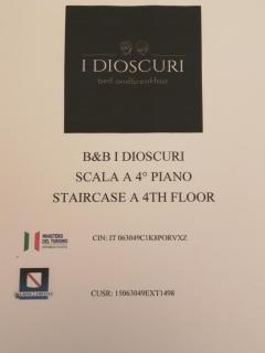 I DIOSCURI - 5