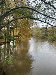 Gîte familial au bord de l'Orne, au pied du château de Mesnil-Glaise - La Courbe - 9