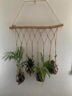 Chez fifi&stella - 9