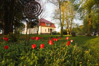 Gutshaus Gevezin - 7