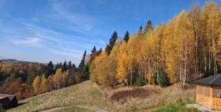 Gładyszówka - Chatka w Gorcach - 3