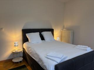 Charmant appartement au cœur de Sion - Sion - 3