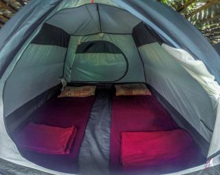 Chalets in Agumbe RainForest - Megarvalli - 9