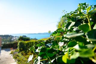 Αngelika studios - Argostoli - 4