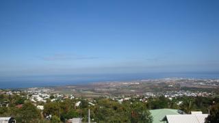 Alpinia F2 nouveau - 5