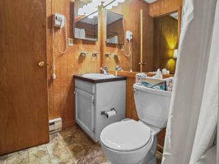 Leatherbark 103A 3BR 2BA Quiet And Serene Private Deck WiFi - Snowshoe - 7