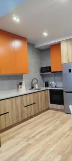 1-Bedroom Apartment Modern, Near Downtown, with Issyk-Kul vibes - 1
