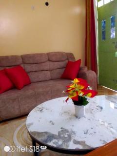 Lux Suites Nairobi House Naivasha - Naivasha - 7