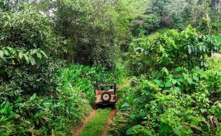 Janiro Tea Trees Villas - Vythiri - 1
