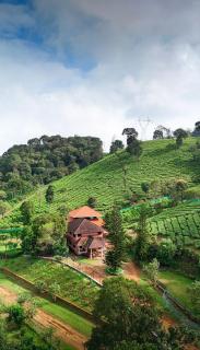 Janiro Tea Trees Villas - Vythiri - 8
