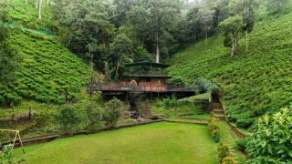 Janiro Tea Trees Villas - Vythiri - 3