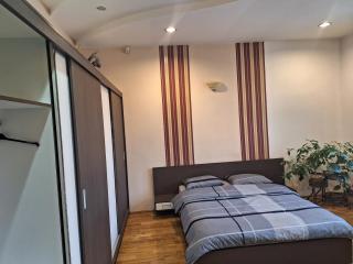 Panoramic Apartment - Târgu-Mureş - 4