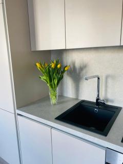 Apartments in the center - 2