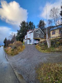 Senja Skaland - Melkarhola - 8