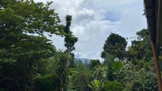 Cinnamon Homestay ella - Ella - 5