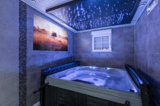 Gites Spa Strasbourg - Villa Ours - SPA Privé, Sauna, Borne d'arcade, Babyfoot - Ittenheim - 8