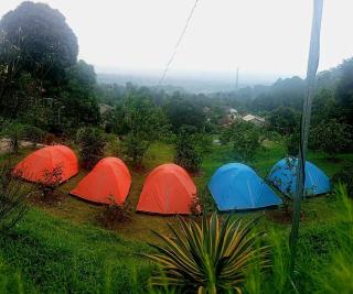 Kebun Teduh Sukaharja Cijeruk Bogor - 7