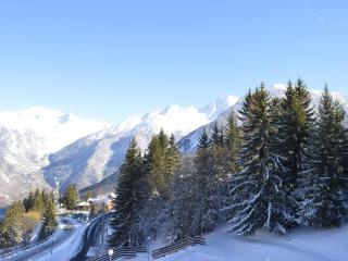 Appartement skis aux pieds pour 4 pers - Courchevel Village - FR-1-575-10 - Courchevel - 1